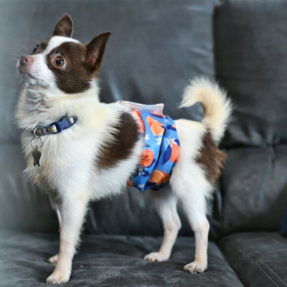 Wegreeco Washable Male Dog Belly Band - 6 Set - BNWT - Picture 7 of 7